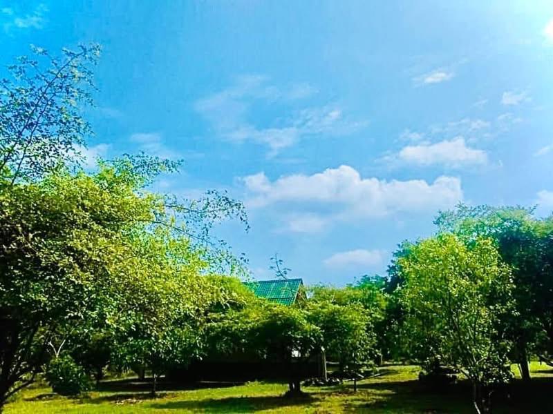 לינה וארוחת בוקר טיסמהרמה Thihawa Eco Huts Yala מראה חיצוני תמונה