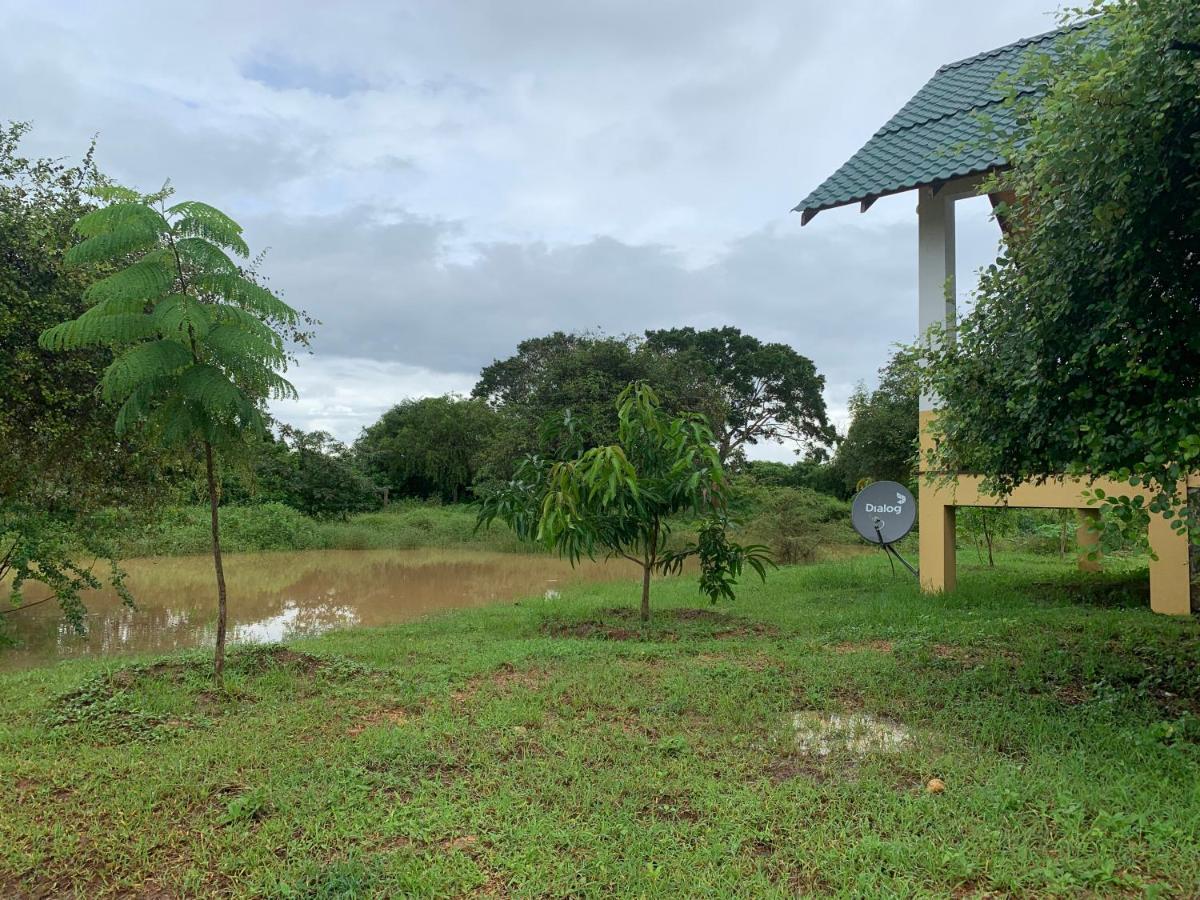 לינה וארוחת בוקר טיסמהרמה Thihawa Eco Huts Yala מראה חיצוני תמונה